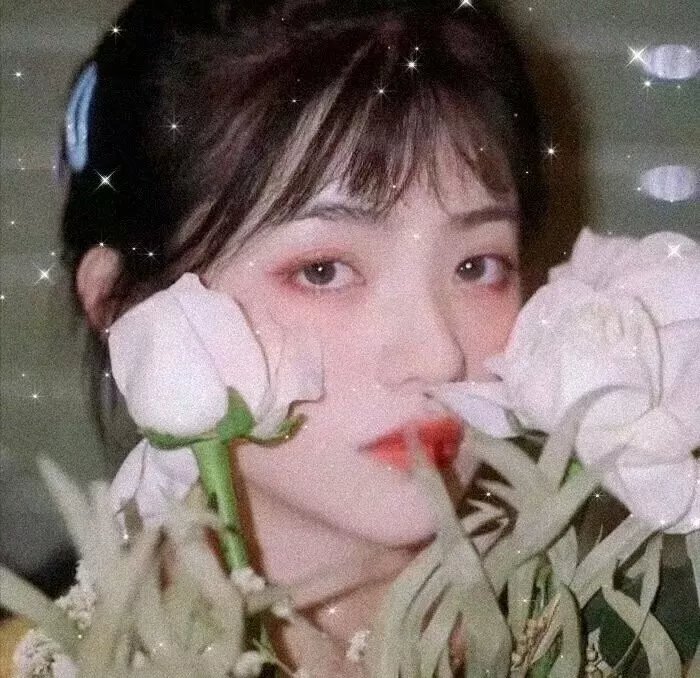 长安侠影之剑客风云